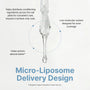 Micro-liposome delivery design illustration
